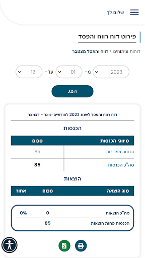 בת חן דורון רואת חשבון Screen 3