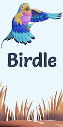 Birdle poster 1