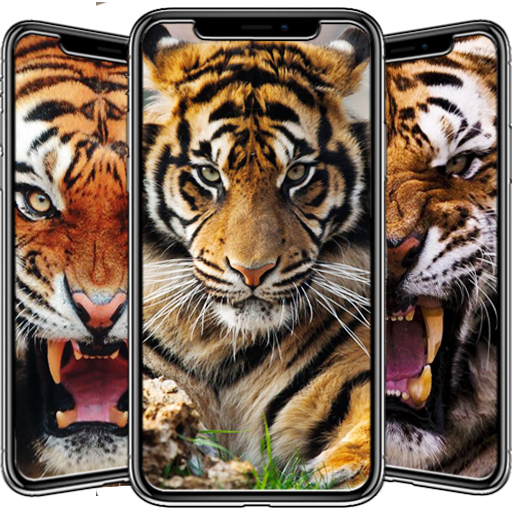 Tigers Wallpaper
