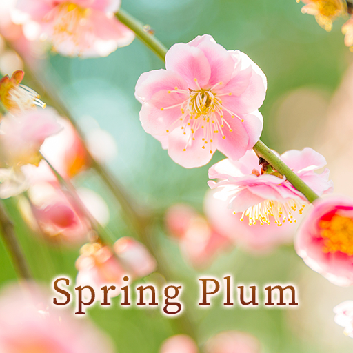 Spring Plum Theme logo
