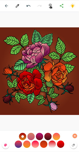 Mandalas Coloring Book - Color