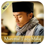 Murottal Taqy Malik MP3 OFFLINE icon