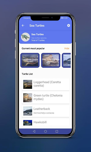 Turtle Magazine Screen 3