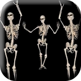 Belly Dancing Live Skeleton icon