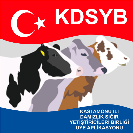 Kastamonu DSYB logo