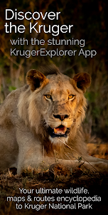 KrugerExplorer