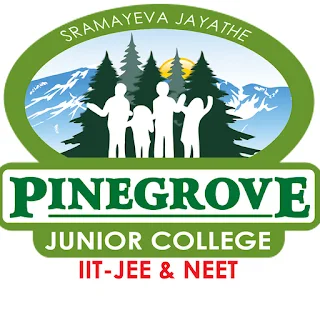Pinegrove (Instructor)