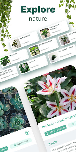 Plantid - Plant Identification - Education - apps