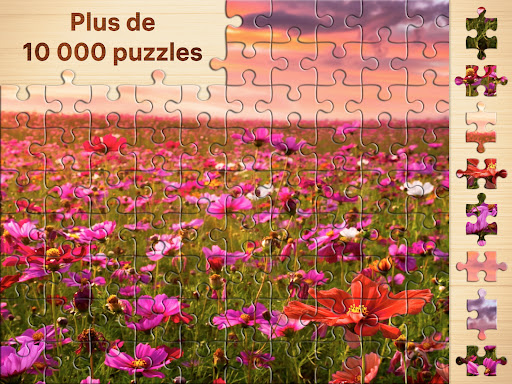 Puzzles - jeux de puzzle