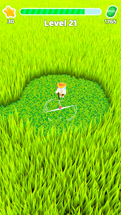 모우 마이 론 – 잔디 깎기 1.45 버그판 5