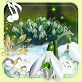 Snowdrops Flowers icon