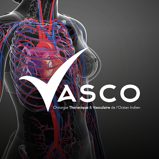 Vasco logo