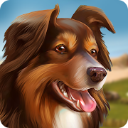  Dog Hotel – Play with dogs 