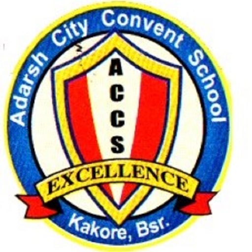 Adarsh City Convent School