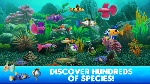 Fish Tycoon 2 Virtual Aquarium v1.10.170 MOD APK (Money)