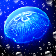 Top 3 Casual Apps Like Jellyfish -  Appreciation - Best Alternatives
