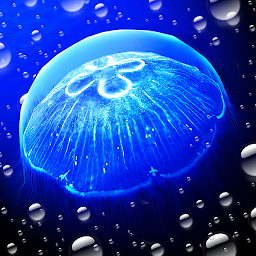「Jellyfish -  Appreciation」圖示圖片