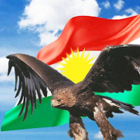 Обои с курдским флагом