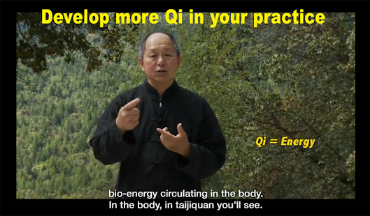 Yang Tai Chi Beginners Part 1 Screenshot