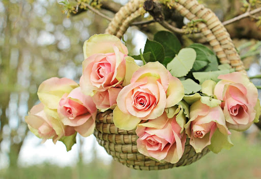 Android application Flowers Jigsaw Puzzles screenshort