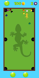 Gecko Pool