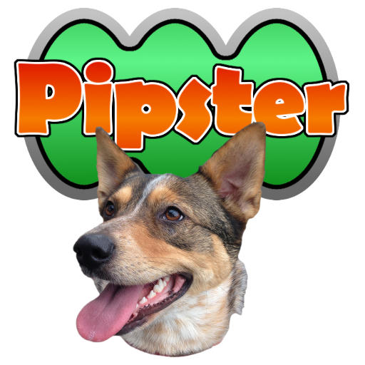 Pipster