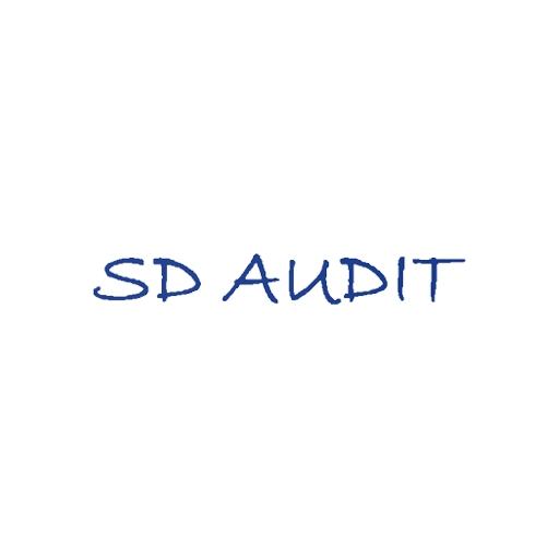 SD Audit expert-comptable-CAC  Icon