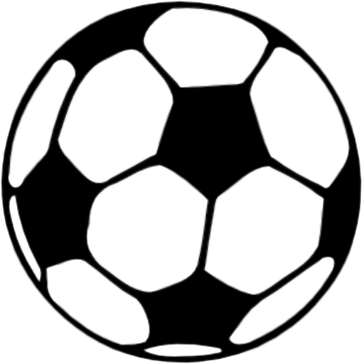 TeamPlayer logo