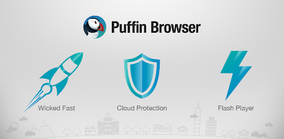 Puffin Browser Pro APK (Paid) v9.5.1 preview