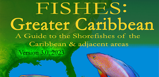 Fishes: Greater Caribbean