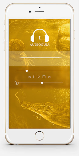 Audio guide Galve Museum