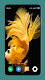 screenshot of Betta Fish Wallpapers 4K
