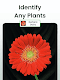 screenshot of Plant Identifier: Plantiary