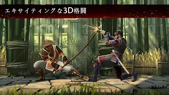 Game screenshot シャドウファイト 3 - RPG格闘ゲーム hack