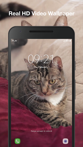 Cute Cat Live Wallpaper Screen 3