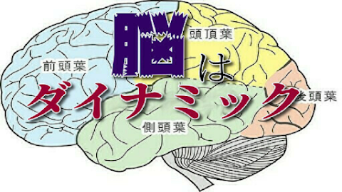 脳はダイナミックーー脳のはたらきのおすすめ画像2