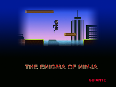 The Enigma of the Ninja