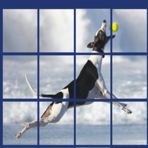 dog puzzle pet logo
