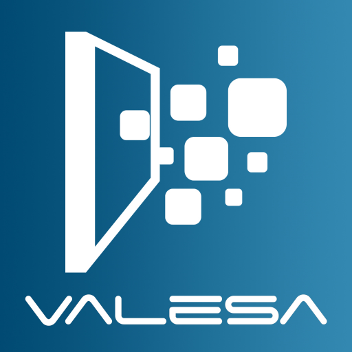 Valesa logo