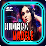Cover Image of ดาวน์โหลด DJ tumaredang X Vadele Viral 2021 1.0 APK