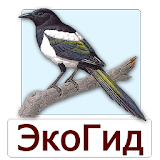 ЭкоГид: Птицы - старая версия icon