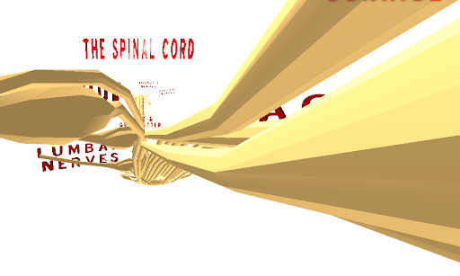 The Spinal Cord VR Screen 2