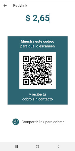 Redypago Screen 2