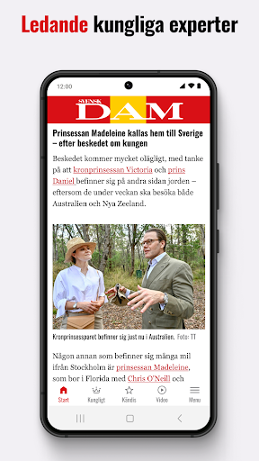 Svensk Dam Screen 2