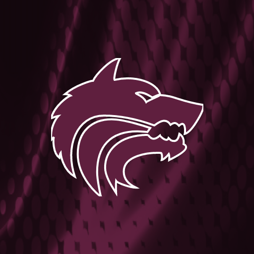 Lincoln Wolves