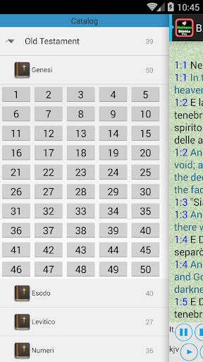 Italian Holy Bible Audio Book Screen 2