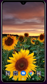 Captura de Pantalla 9 Sunflower Wallpaper android