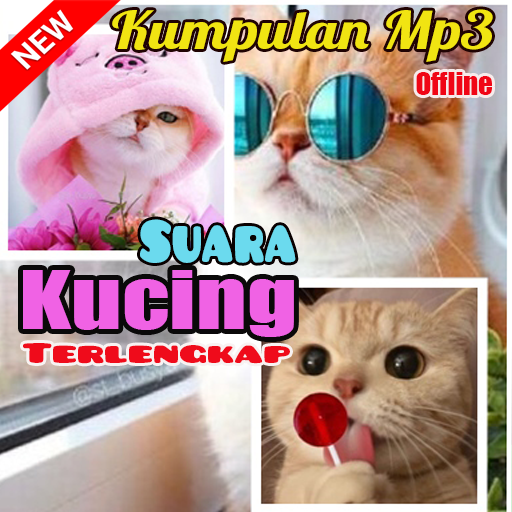 Kumpulan MP3 Suara Kucing Offline Terlengkap