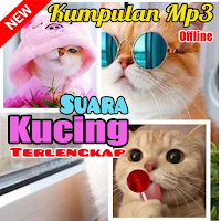 Kumpulan MP3 Suara Kucing Offline Terlengkap