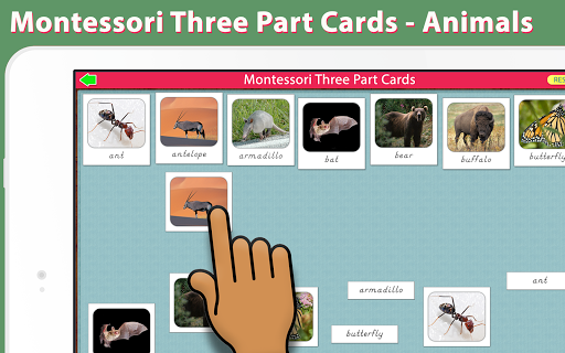 Android application Montessori Three Part Cards - screenshort